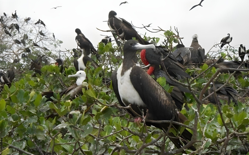 Puerto Pizarro
